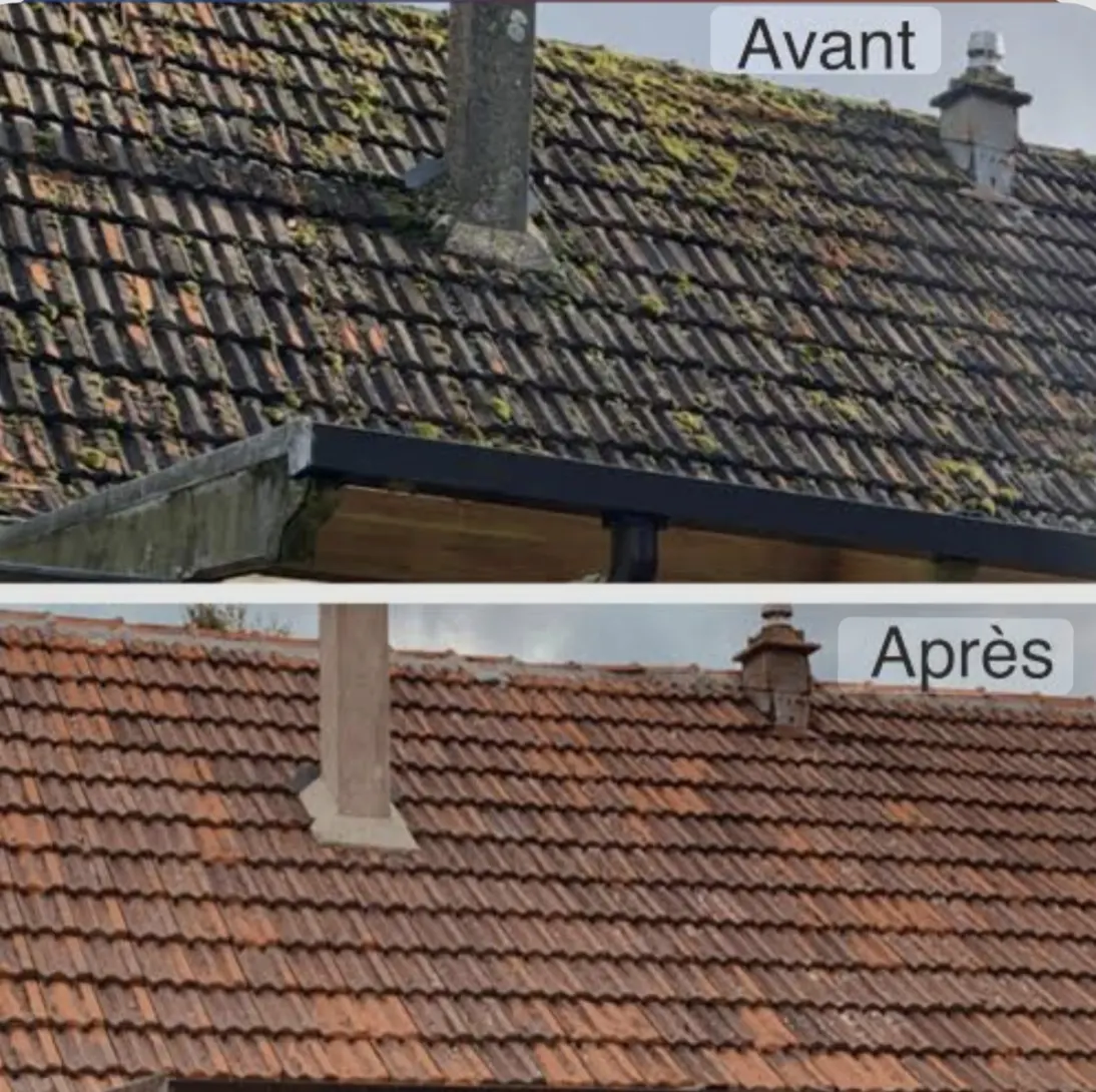 Démoussage toiture tuiles avant après